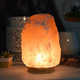 Himalayan Salt Lamp, $30
